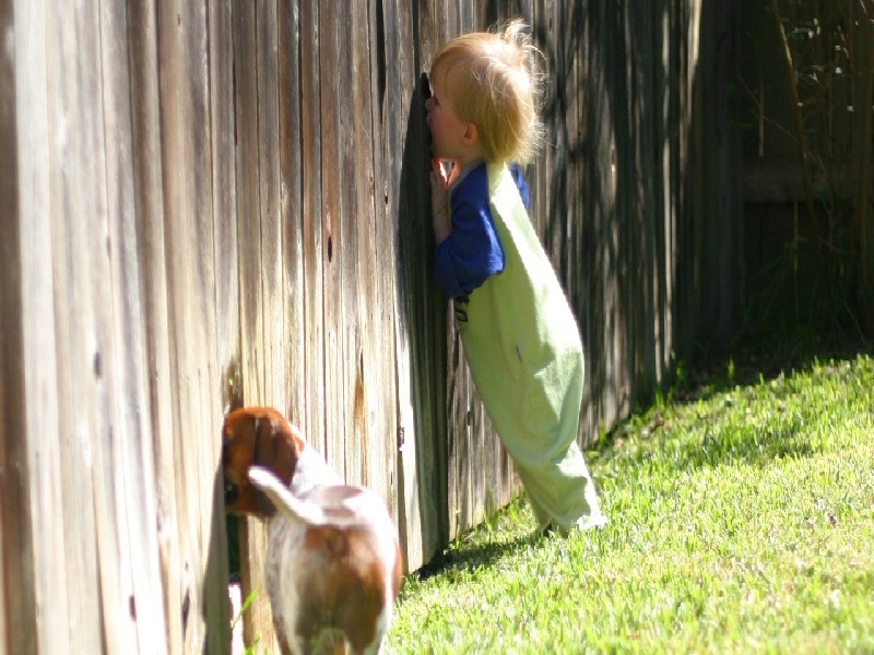 第十二次产检（37周）